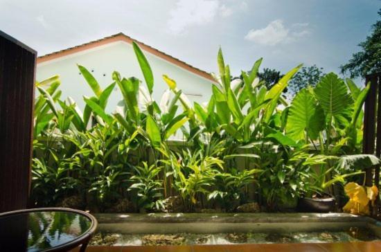 Mydream Guest House Ipoh Dış mekan fotoğraf